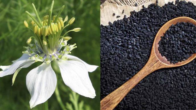 This Natural Gel Might Soon Be a Holistic—And Cheap— Herbal Answer to Psoriasis Troubles