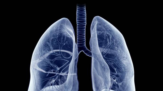 Deaths From the Most Common Lung Cancer are Falling Fast