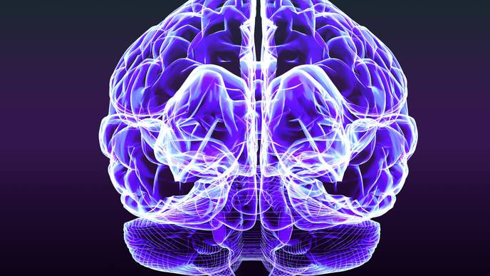 ReachMD Healthcare Image