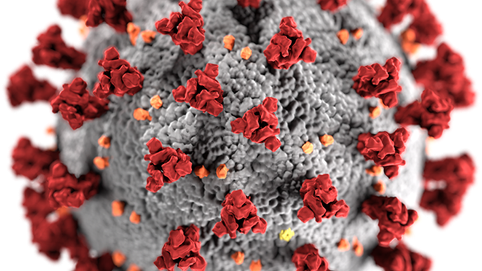 Immune Response to COVID-19 Reduced in Patients with Blood Cancers