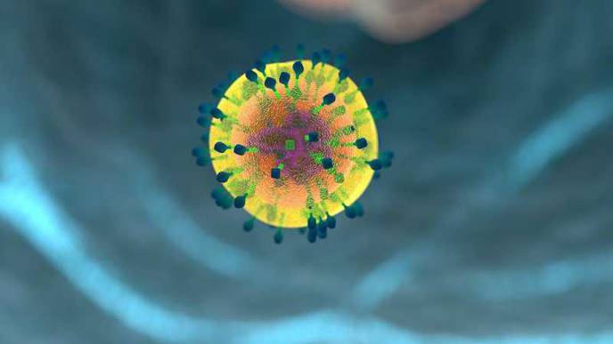 Myositis-Specific Autoreactive T Cells Are Pathogenic for Dermatomyositis