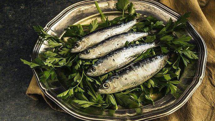 Eating Sardines Regularly Helps Prevent Type 2 Diabetes