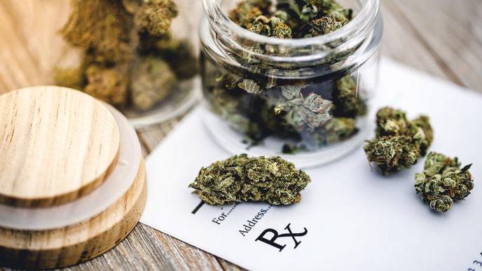 Johns Hopkins Medicine Team Tests Medical Marijuana as Possible Therapy for Chronic Itch