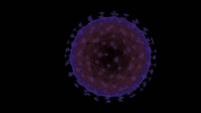 Coinfection: More Than the Sum of Its Parts