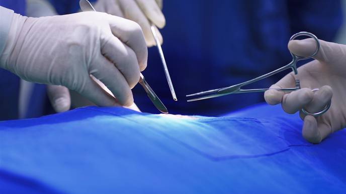 New Technique Can Reduce Heart Transplant Rejection
