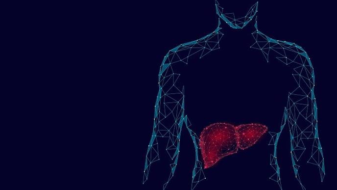 Sex-Disparities Exist in Liver Transplant Allocation