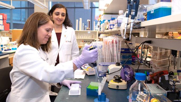 UC Study Sheds Light on Cancer Treatment & COVID-19
