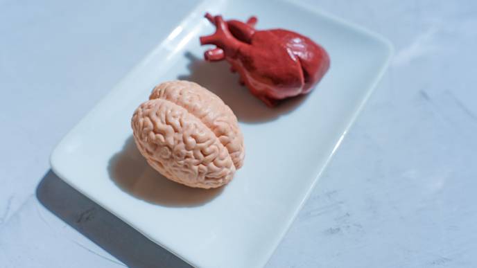 ReachMD Healthcare Image