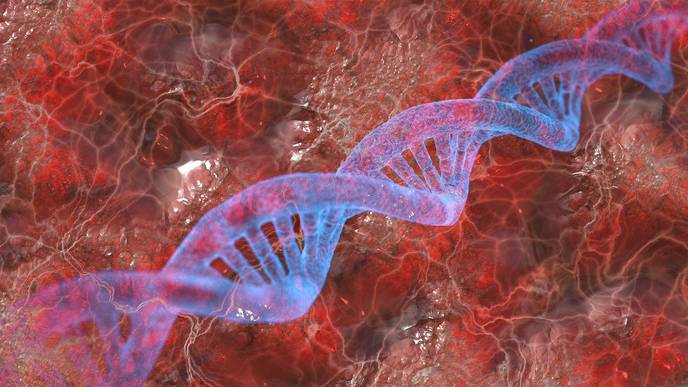 Mothers Can Influence Offspring's Height, Lifespan, & Disease Risk Through Mitochondria