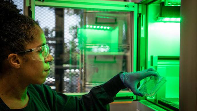 Global Data-Sharing Alliance Key to Finding COVID-19 Cures Fast