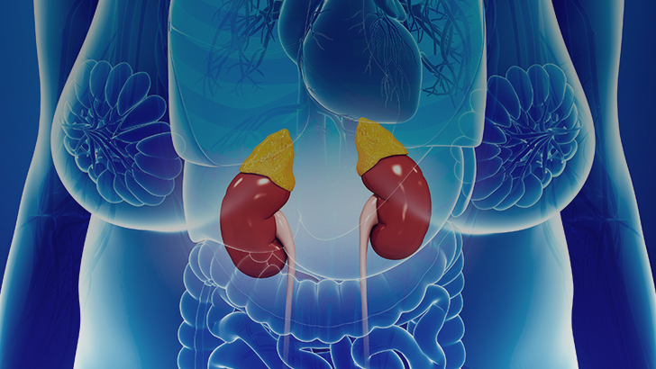 ReachMD Healthcare Image