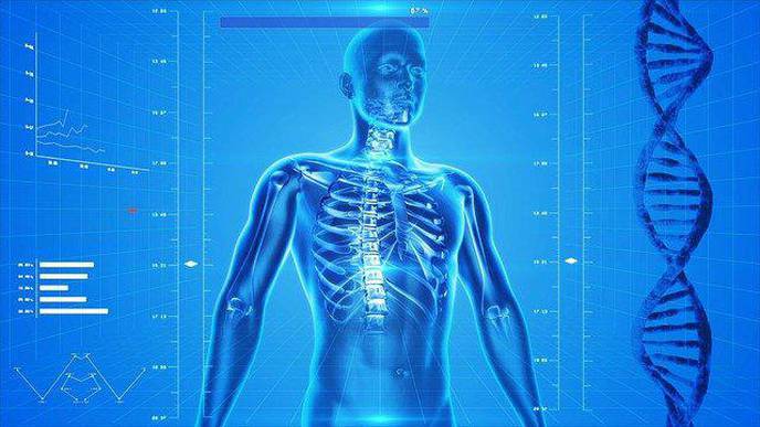 Making Musculoskeletal Health a Global Priority