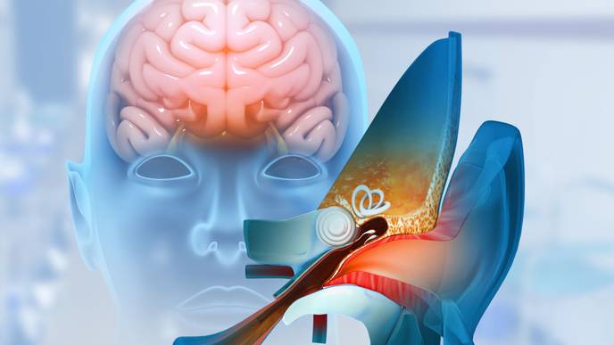 ReachMD Healthcare Image