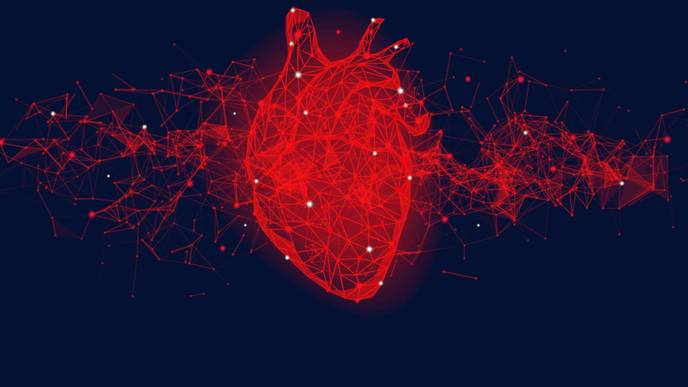 ReachMD Healthcare Image