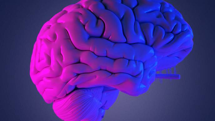 Researchers Generate a Transcriptomic Map of the COVID Brain