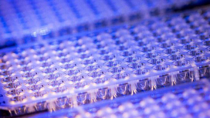 Harnessing Next Generation Sequencing to Detect SARS-CoV-2