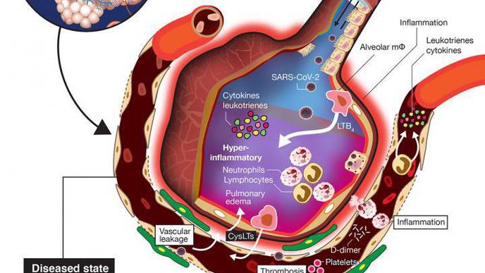 ReachMD Healthcare Image