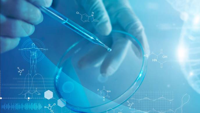 ReachMD Healthcare Image