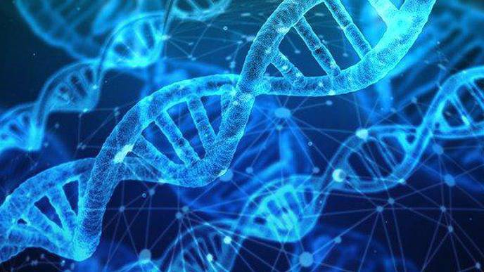 Genetic Profile Models Show Potential to Predict Person’s Scleroderma Risk