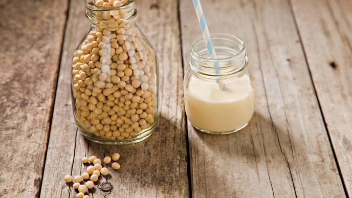 Using Soy to Improve Bone Cancer Treatment