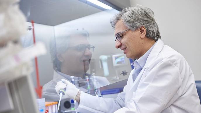 Researchers Develop Proof-of-Concept Treatment That Elevates Both Adult & Fetal Hemoglobin
