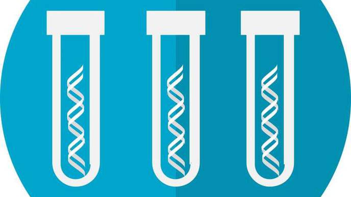 Genetic Test Could Pick Out 'Ultra High Risk' Bone Marrow Cancer Patients