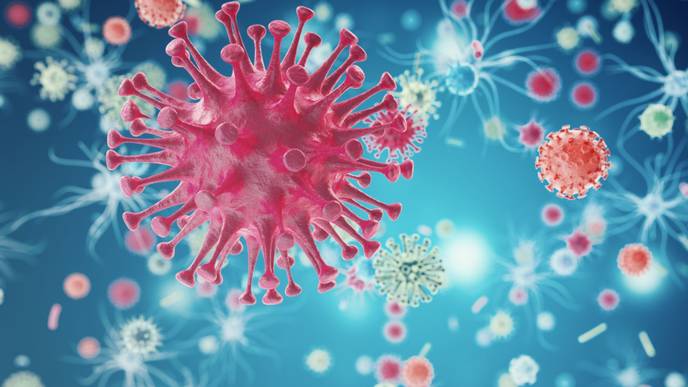 ReachMD Healthcare Image