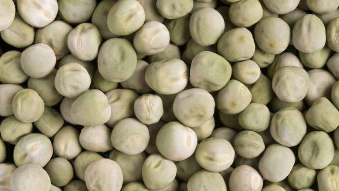 Wrinkled 'Super Pea' Could Be Added to Foods to Reduce Diabetes Risk