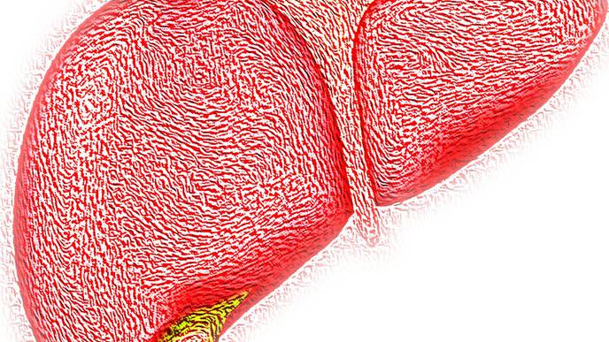 Amino Acid Connected to NAFLD Could Provide Treatment Clues