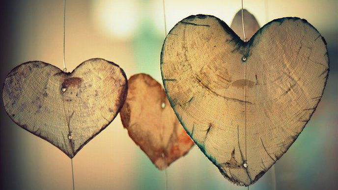 Mapping the Human Heart, Cell by Cell