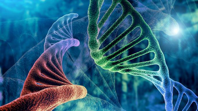Exploring Novel Gene Therapy Approaches to Treat Ocular Disease