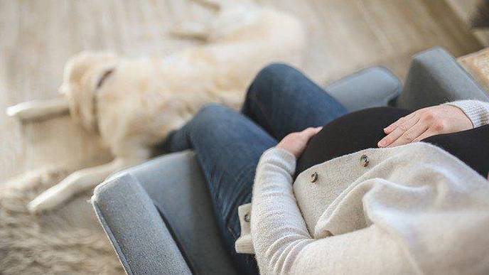 How Pregnancy Turns the Stress Response on Its Head