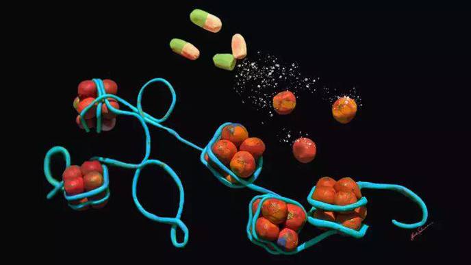 Rapamycin Changes the Way Our DNA Is Stored