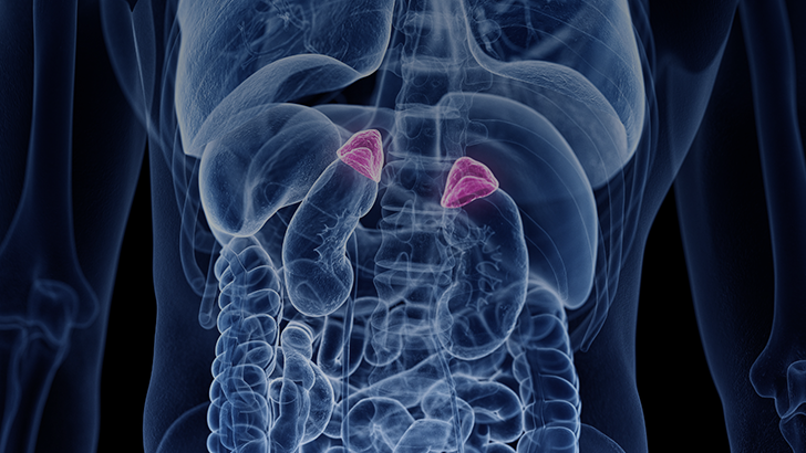 ReachMD Healthcare Image