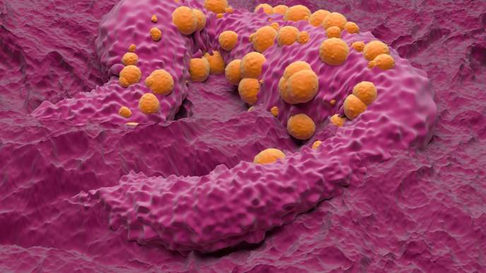 ReachMD Healthcare Image