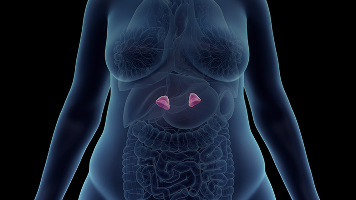 ReachMD Healthcare Image