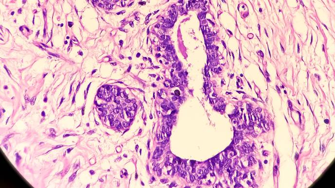 ReachMD Healthcare Image