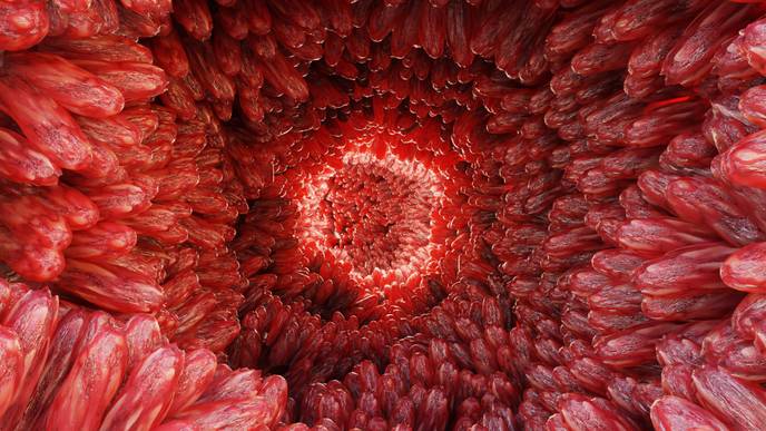 ReachMD Healthcare Image