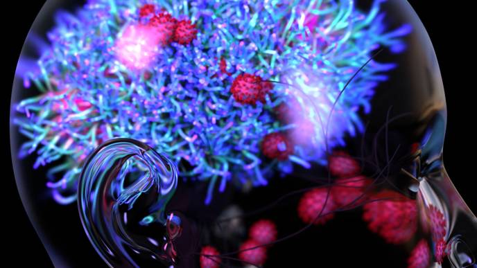 ReachMD Healthcare Image