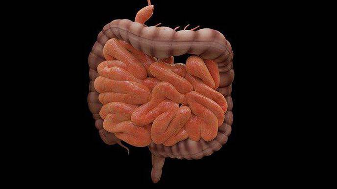 Treatment for Inflammatory Bowel Disease Doesn't Always Work
