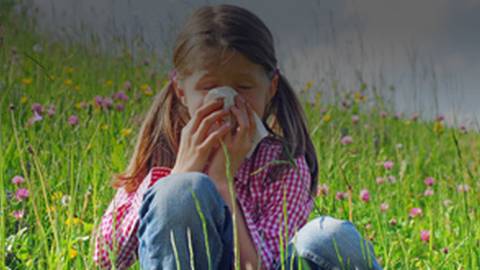 How to Combat Allergy Season's Sniffles & Sneezes