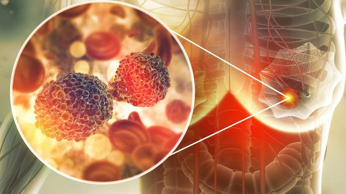 ReachMD Healthcare Image