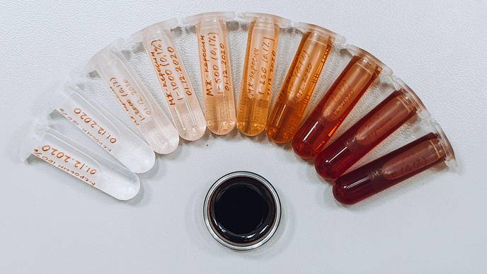 Scientists Take a Step Towards Expanding the Use of Magnetic Fluids in Medicine