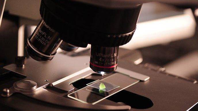Growth Factor R-spondin Suppresses Colorectal Cancer Growth