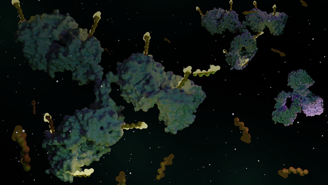 ReachMD Healthcare Image