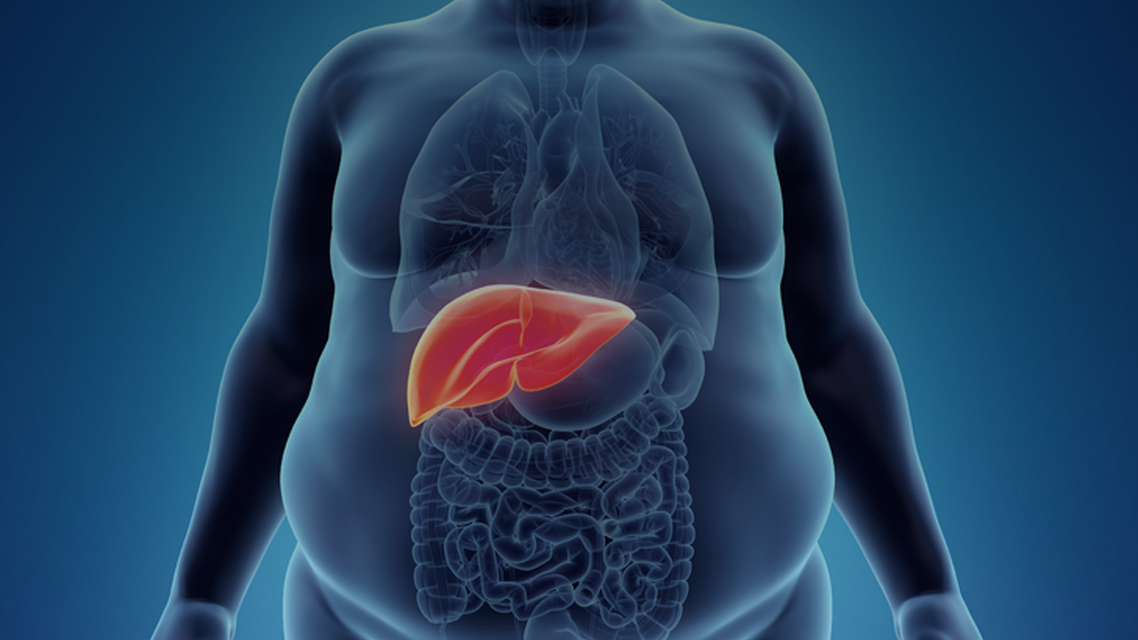 ReachMD Healthcare Image