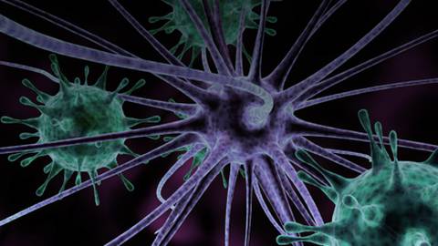 Early Diagnosis/Long-Term Prognosis of MS - Dr. Jiwon Oh