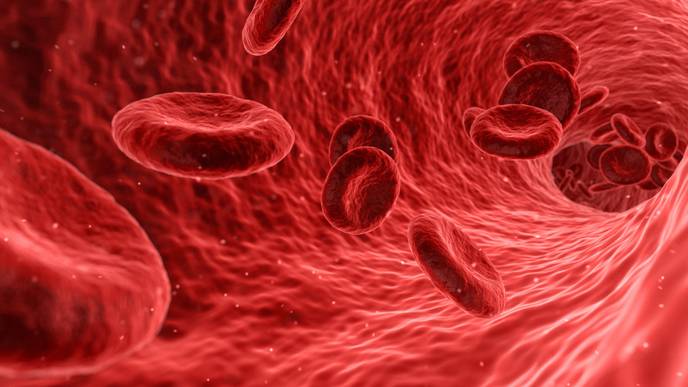New Stem Cell Transplant Method Could Improve Treatment of Blood Cancer Patients