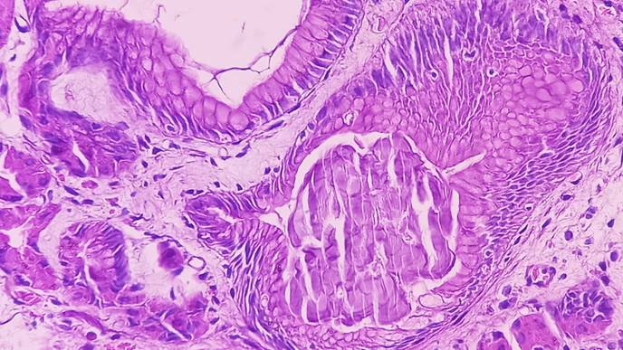 ReachMD Healthcare Image