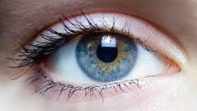 Surgery Restores Eye Muscle Function to Patients with Facial Paralysis